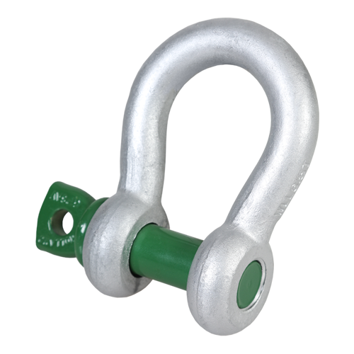 Bow Shackle with Screw Pin Special
