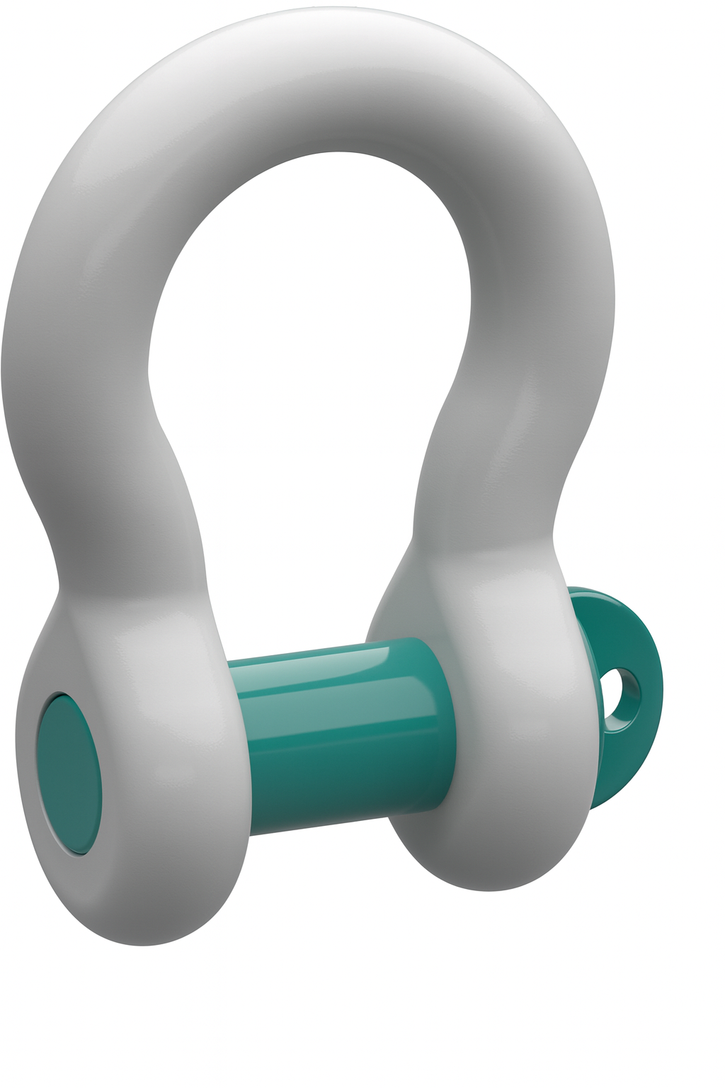 Bow Shackle with Screw Pin Special